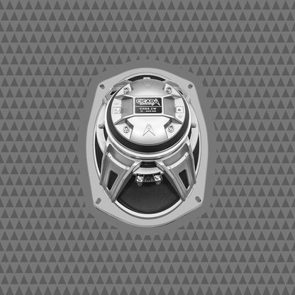6×9″ Coaxial Horn - 2Ω