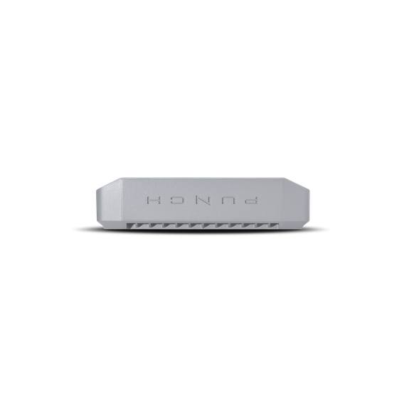 Punch Marine 300 Watt 2-Channel Amplifier